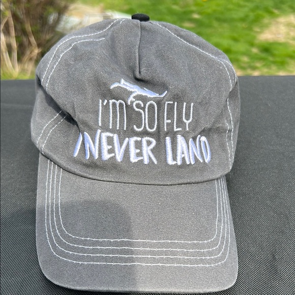 Disney Gray 'I'm So Fly I Never Land' Hat - Picture 1 of 3